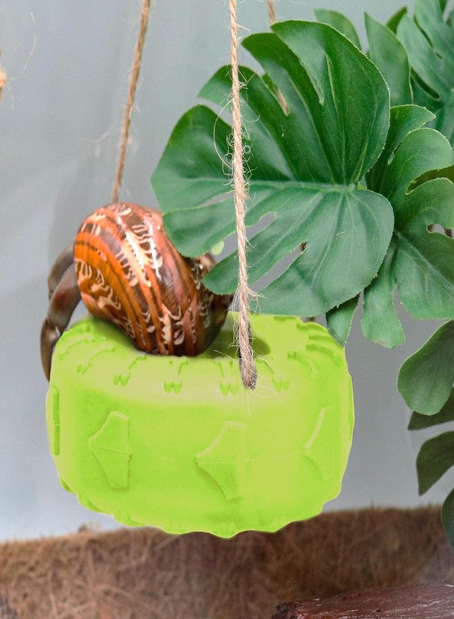 Neeenn Hermit Crab Tire Swing Toy, Hermit Crab Climbing Toy, Reptile Tank Aquarium Decoration Accessory, Suitable for Small to Medium Sized Hermit Crabs, 3.7 Inches in Diameter - Image 5